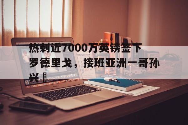 b体育官方入口-热刺近7000万英镑签下罗德里戈，接班亚洲一哥孙兴慜的简单介绍